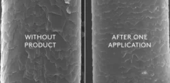 All In One - Repairing Cuticle Seal