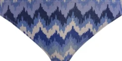 ARIZONA WAVE ITALINI BIKINI BRIEF