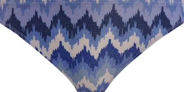 ARIZONA WAVE ITALINI BIKINI BRIEF