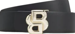 B_Icon-G_Sr30_pgr