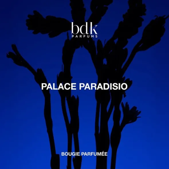 BDK PALACE PARADISIO - BOUGIES 250G