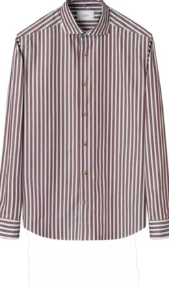 Bengal Striped Fine Twill Shirt