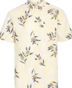 BHAVIL Shirt