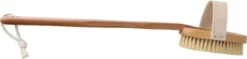 Body Detox Skin Brush