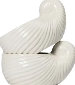 Bowl/Cup Shelley2pcs/set