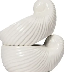 Bowl/Cup Shelley2pcs/set