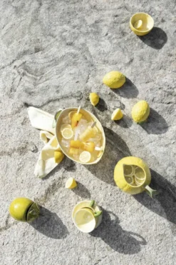 Bowl with lid Lemon