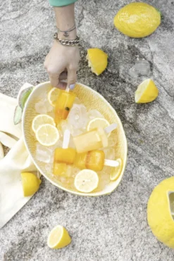 Bowl with lid Lemon