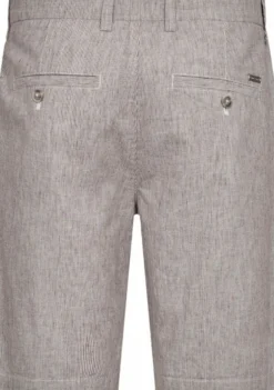 BS Darion Regular Fit Shorts
