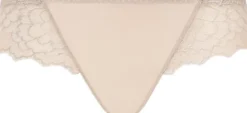 CARESSE Brief