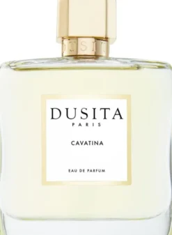 Cavatina