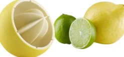 Citruspress