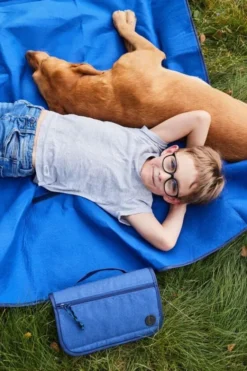 City picnic blanket