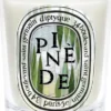 Classic candle Pinède 190g - LE 26