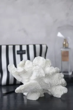 Coral, large fan