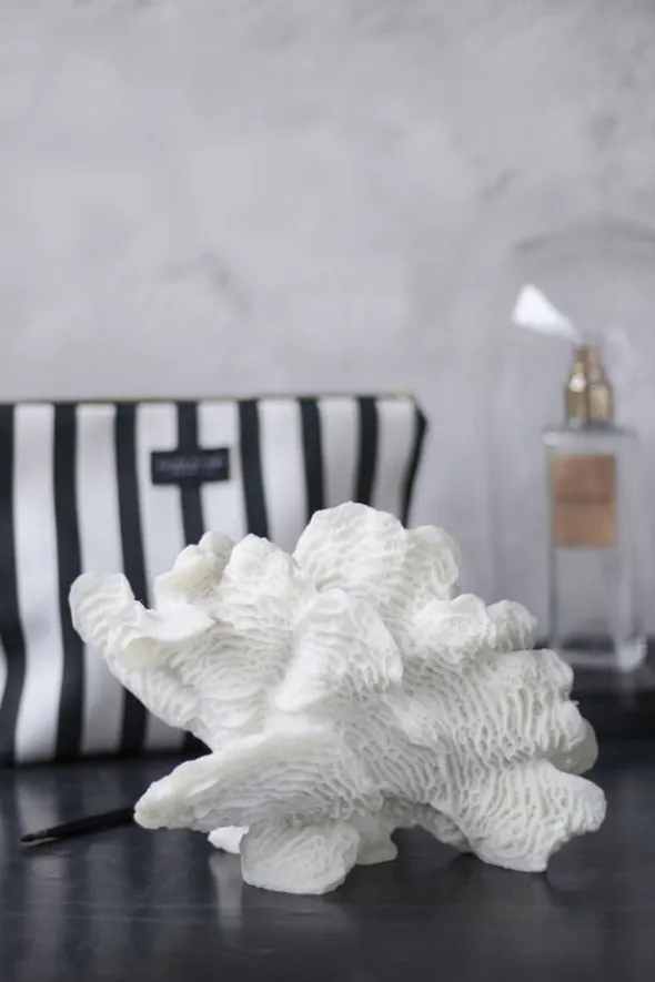 Coral, large fan