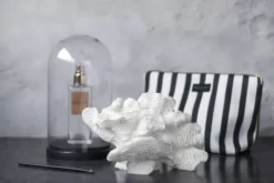 Coral, large fan
