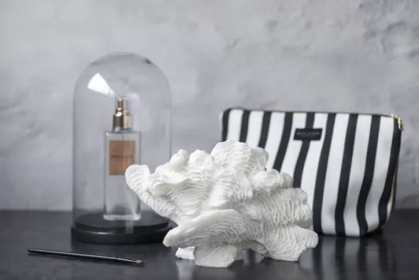 Coral, large fan