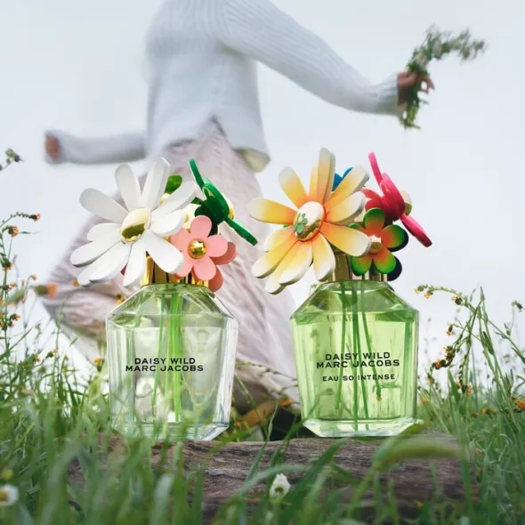 DAISY WILD INTENSE