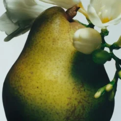 English Pear & Freesia Cologne