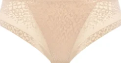ENVISAGE BRIEF