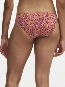 Eos Brief Swimwear