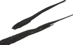 Eye Liner Pen