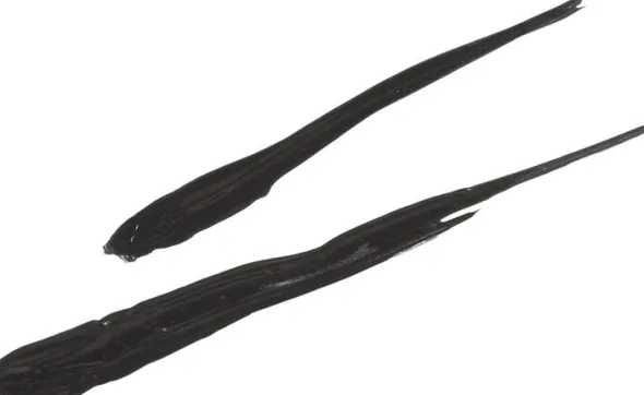 Eye Liner Pen