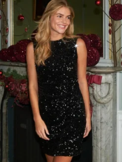 Fanya Velvet Sequins Dress
