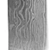 Gastro Blades - 15 cm Utility knife