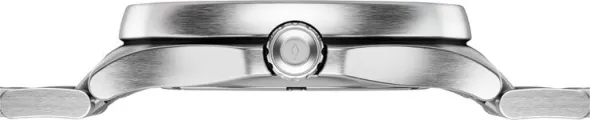 Guardian Automatic 36mm
