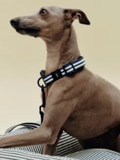 HAY Dogs Collar Flat-S/M-Blue and w