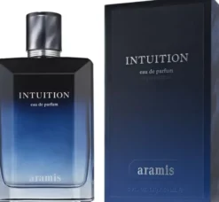 Intuition