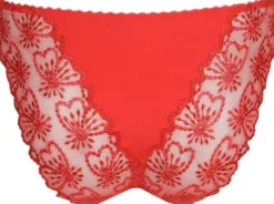 Jane Italian briefs
