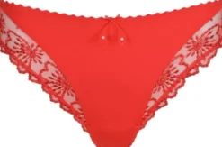 Jane Italian briefs