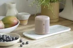 Karl Bluetooth Högtalare