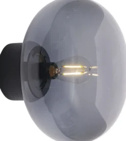 Karl-Johan Wall Lamp, BL Stain Oak w. Smoke Glass