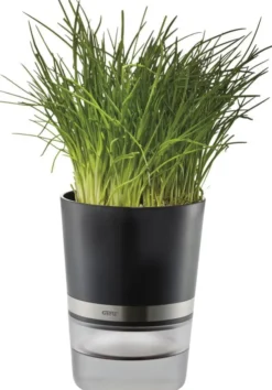 Krydderurtepotte, BOTANICO