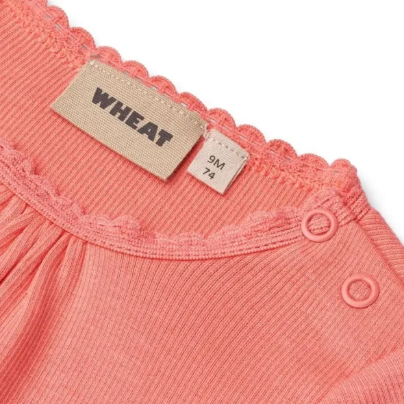 Langærmet Blonde Rib Body Lotta