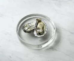 Mass Dish �17 Glass