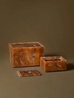 Mist Box - 10 x 15 - Sugar Kelp