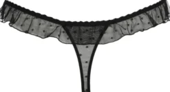 Noova special briefs