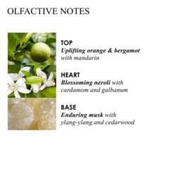 ORANGE & BERGAMOT HAND WASH (GLASS BOTTLE)