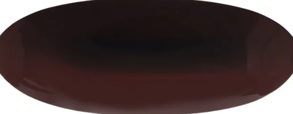 Oval Bone Clip