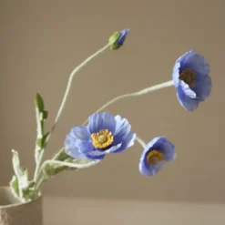 Poppy Flower