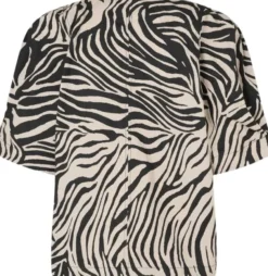 Pranni Blouse