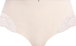 PRIYA FULL BRIEF