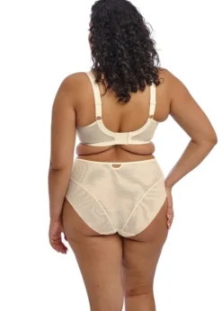 PRIYA FULL BRIEF