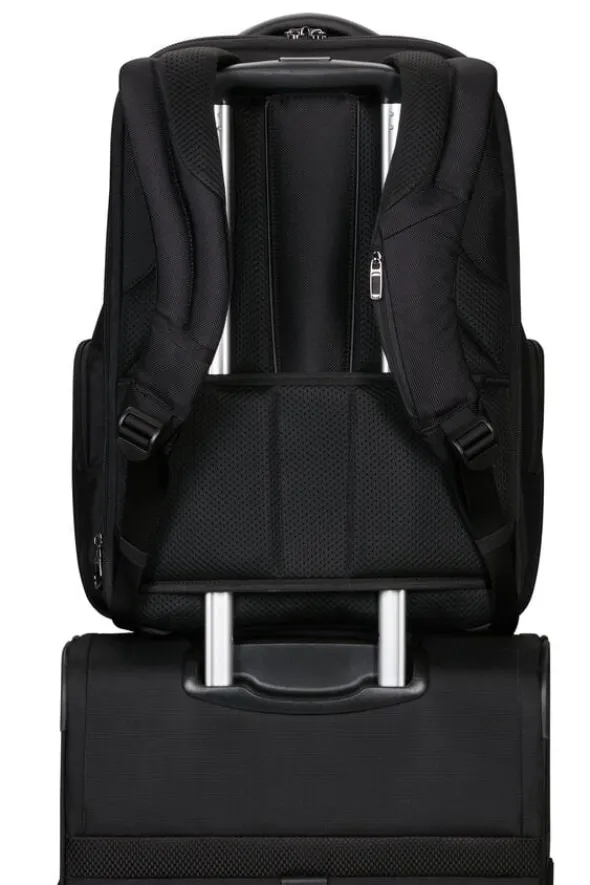 Pro-Dlx 6