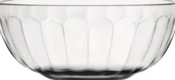 Raami skål 0,36L klar